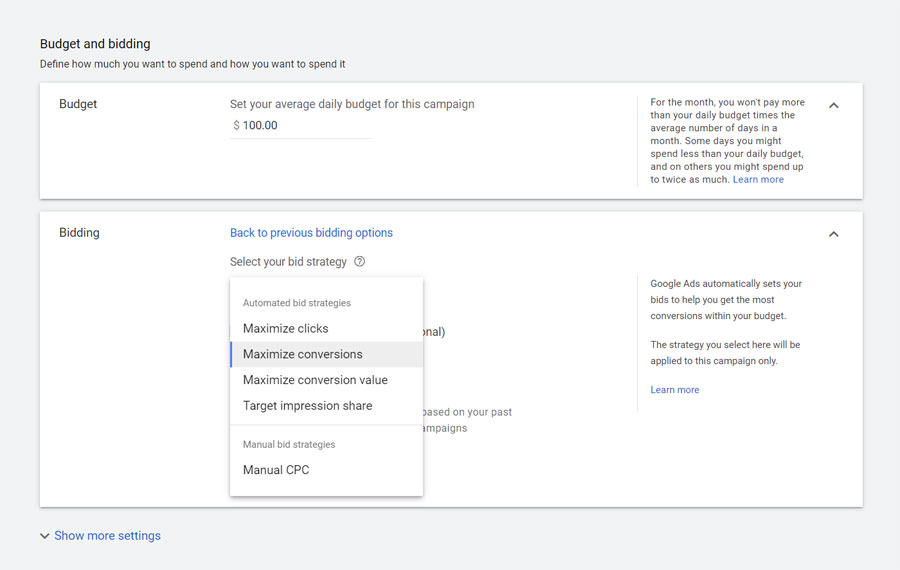 Google Ads Bidding Strategies