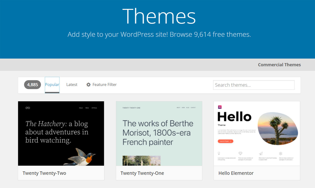 WordPress Themes