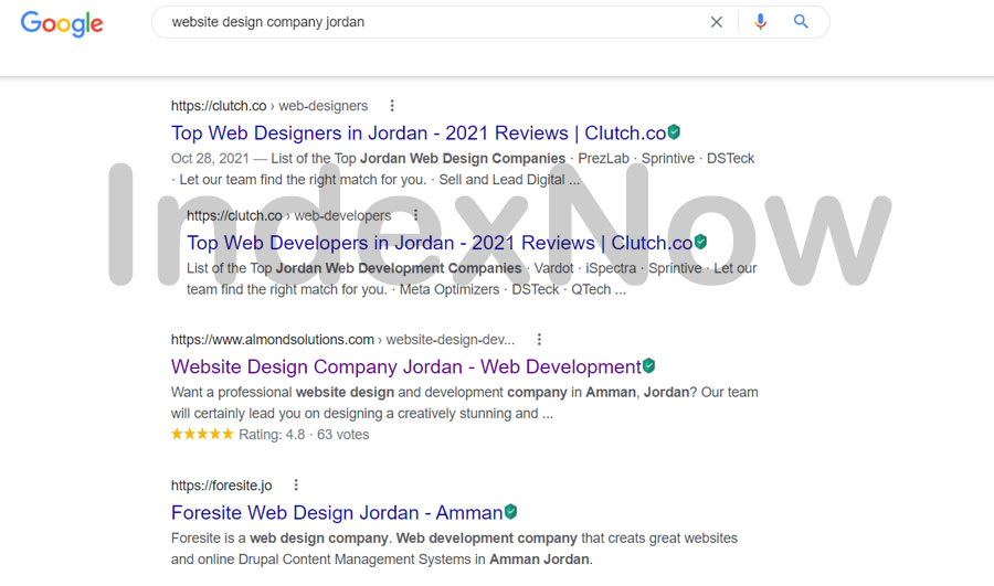 Google IndexNow Protocol