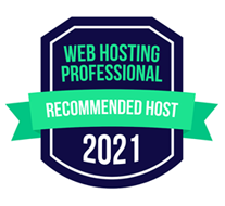 Website Hosting Professional 2021
